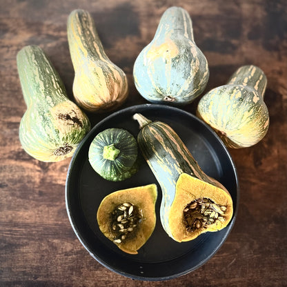 Squash - Ayote Green Fleshed