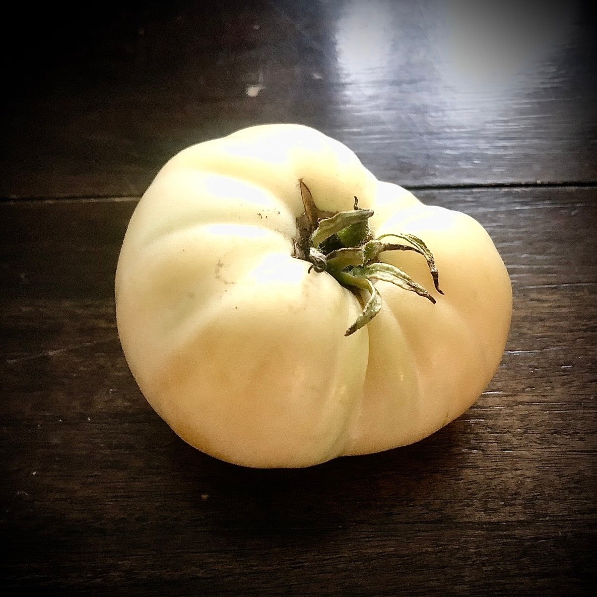 Tomato - White Tomesol