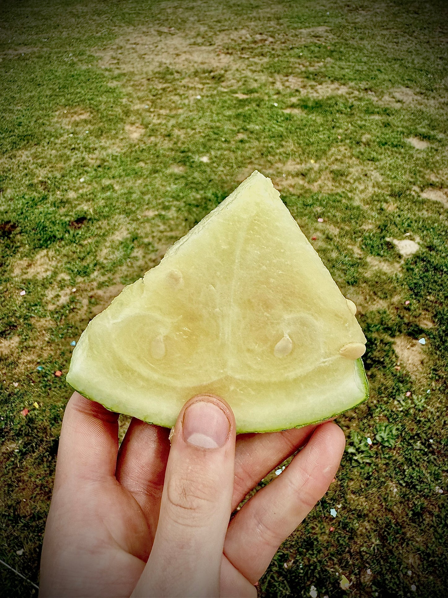 Watermelon - Silver Yamato