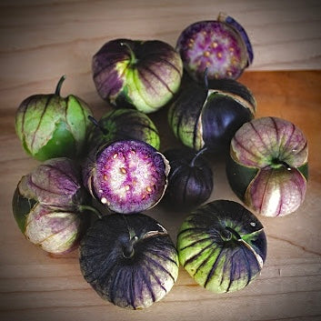 Tomatillo - Purple Coban