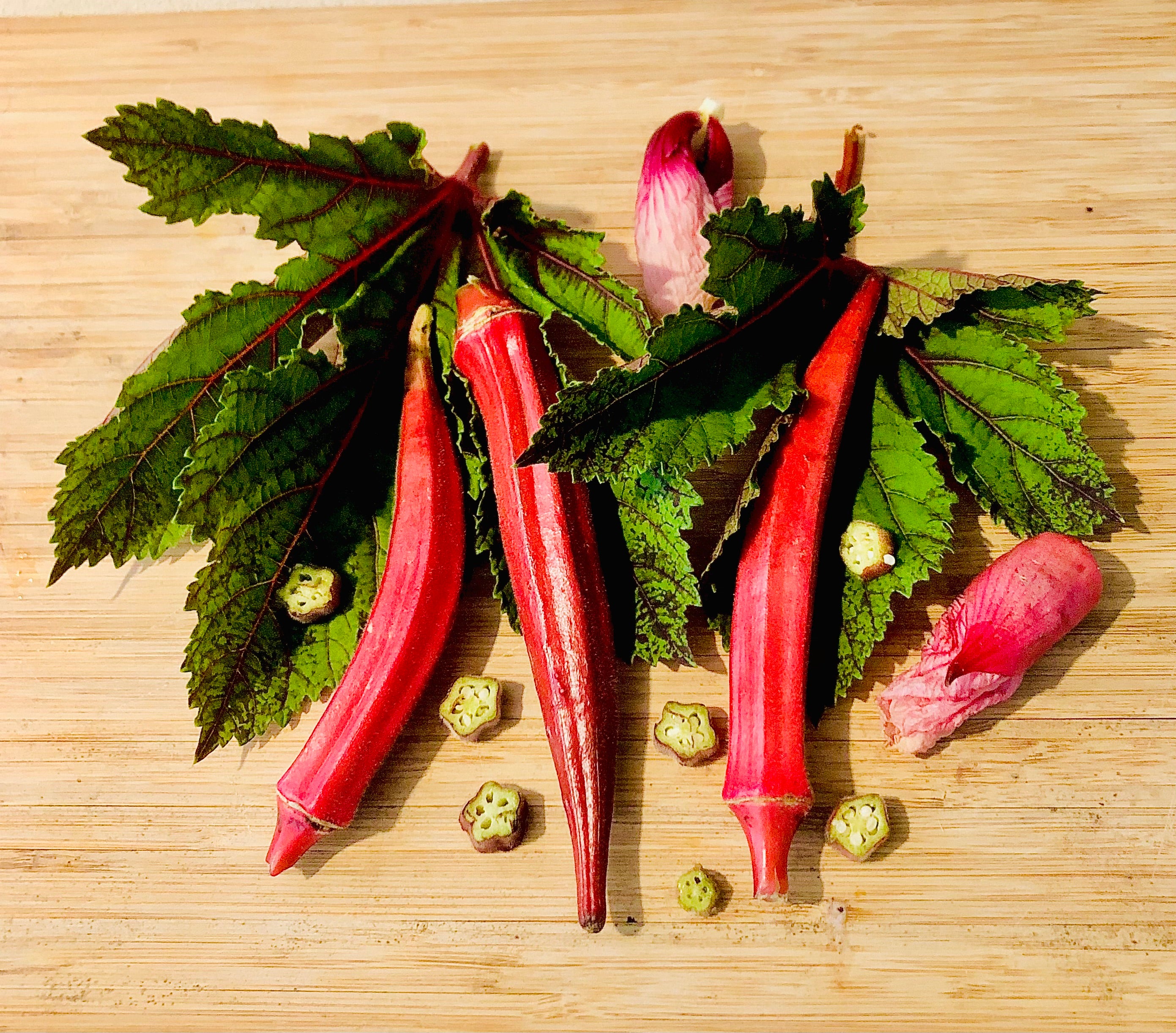 thumbnail image 2 of Mother Nature's Seeds – Okra 'Jing Orange' 50 Seeds – Red/Orange Pods, Non-GMO, Asian Variety 2 of 6