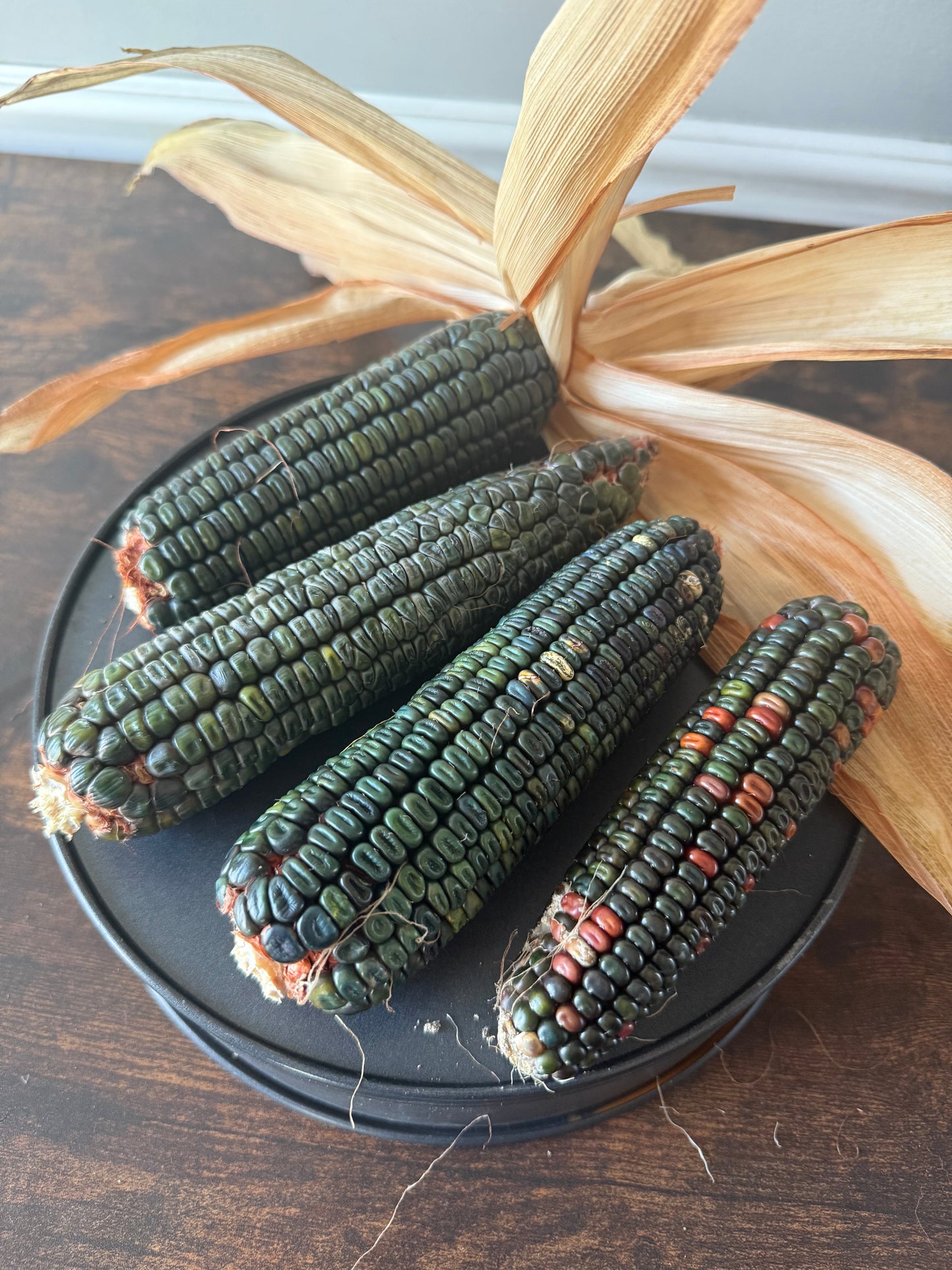 Corn - Oaxacan Green
