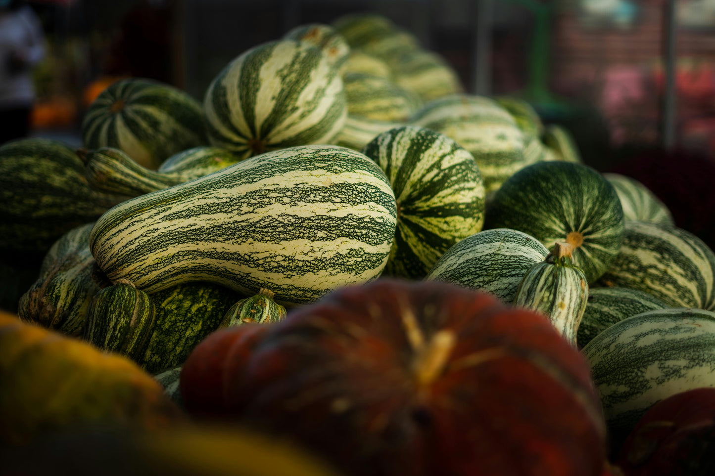 Squash - Cushaw Green Striped