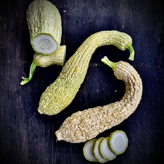Summer Squash - Rugosa Friulana