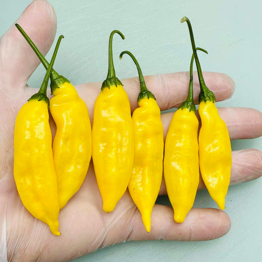 Aji Lemon - Pepper Seeds