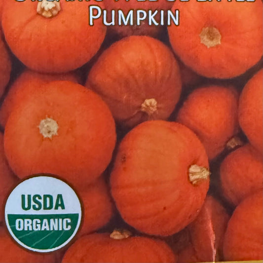 Pumpkin - We Be Little
