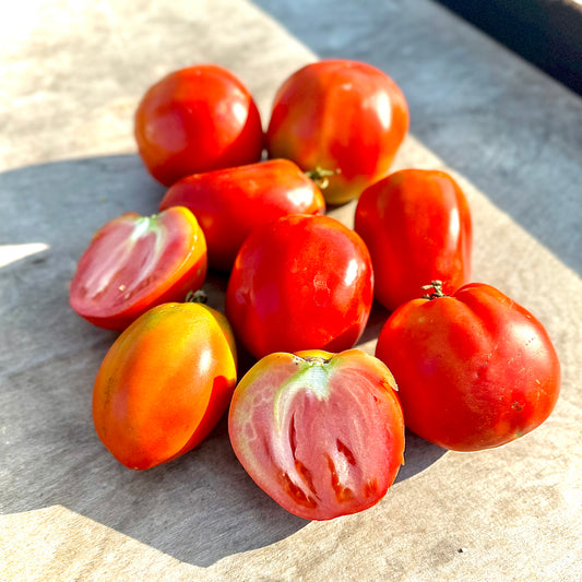 Amish Paste -Non GMO- Heirloom Tomato Seeds (10+ Seeds)