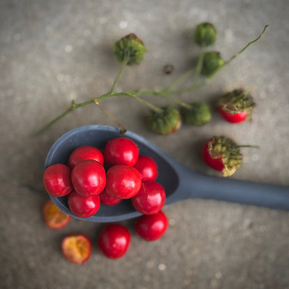 Tomato - Litchi