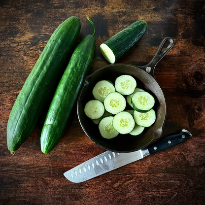Cucumber - Shintokiwa