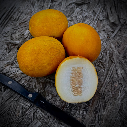 Melon - Mango