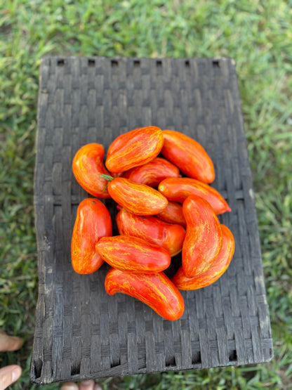 Tomato - Cassidy’s Folly