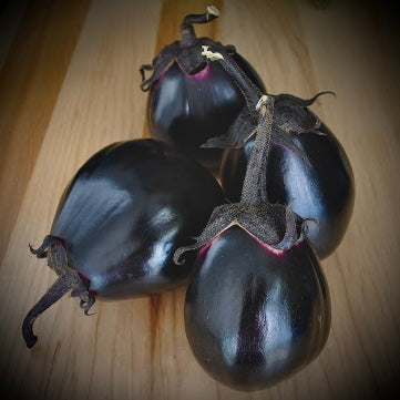 Eggplant - Mitoyo