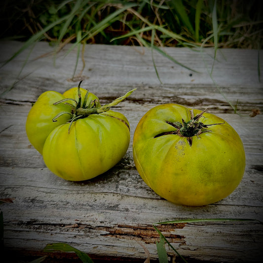 Tomato - Emerald Apple
