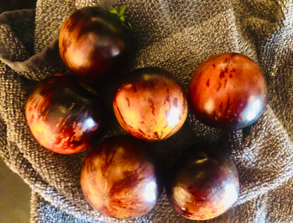 Tomato - Queen Of The Night