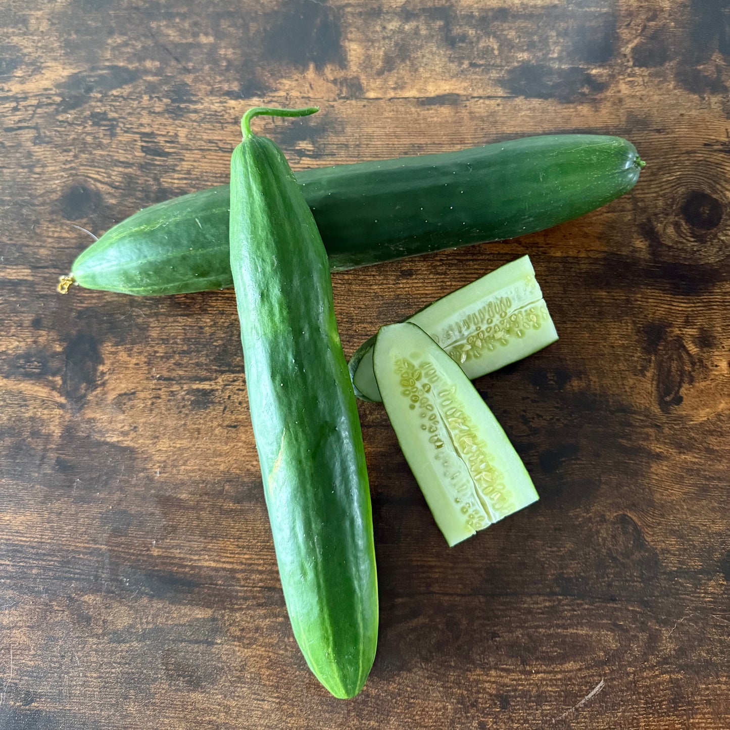 Cucumber - Shintokiwa