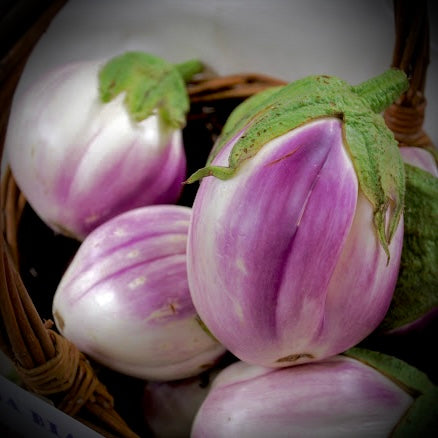 Eggplant - Rosa Bianca