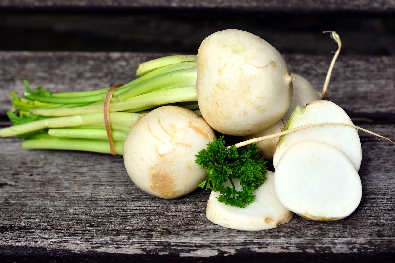 Beet - White Albino