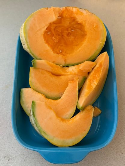Melon - Prescott Fond Blanc