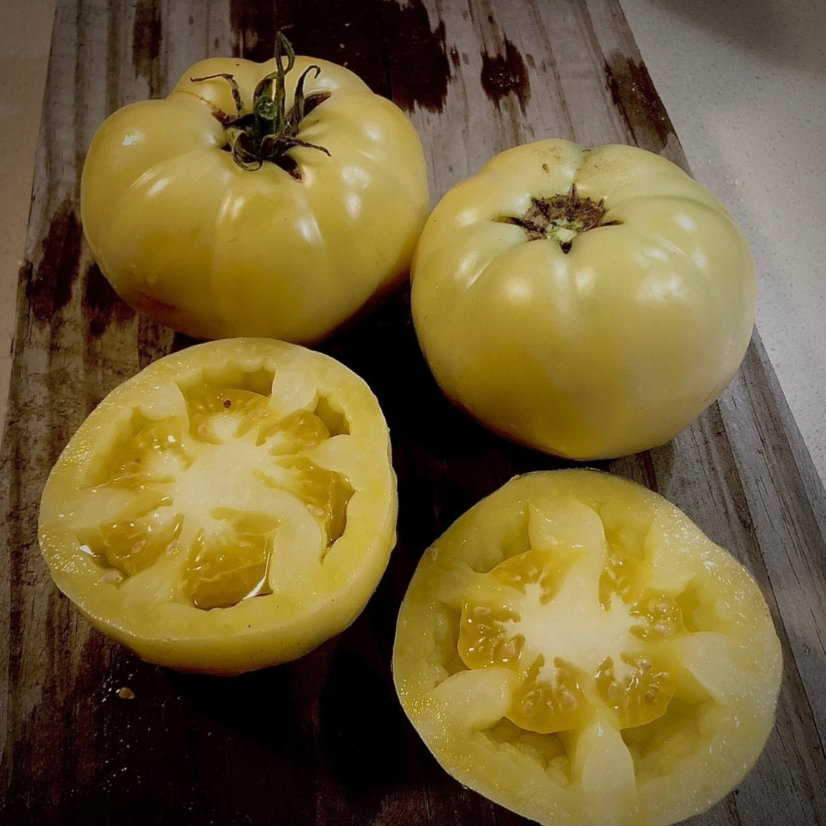 Tomato - White Tomesol