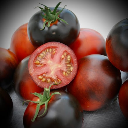 Tomato - Indigo Blue