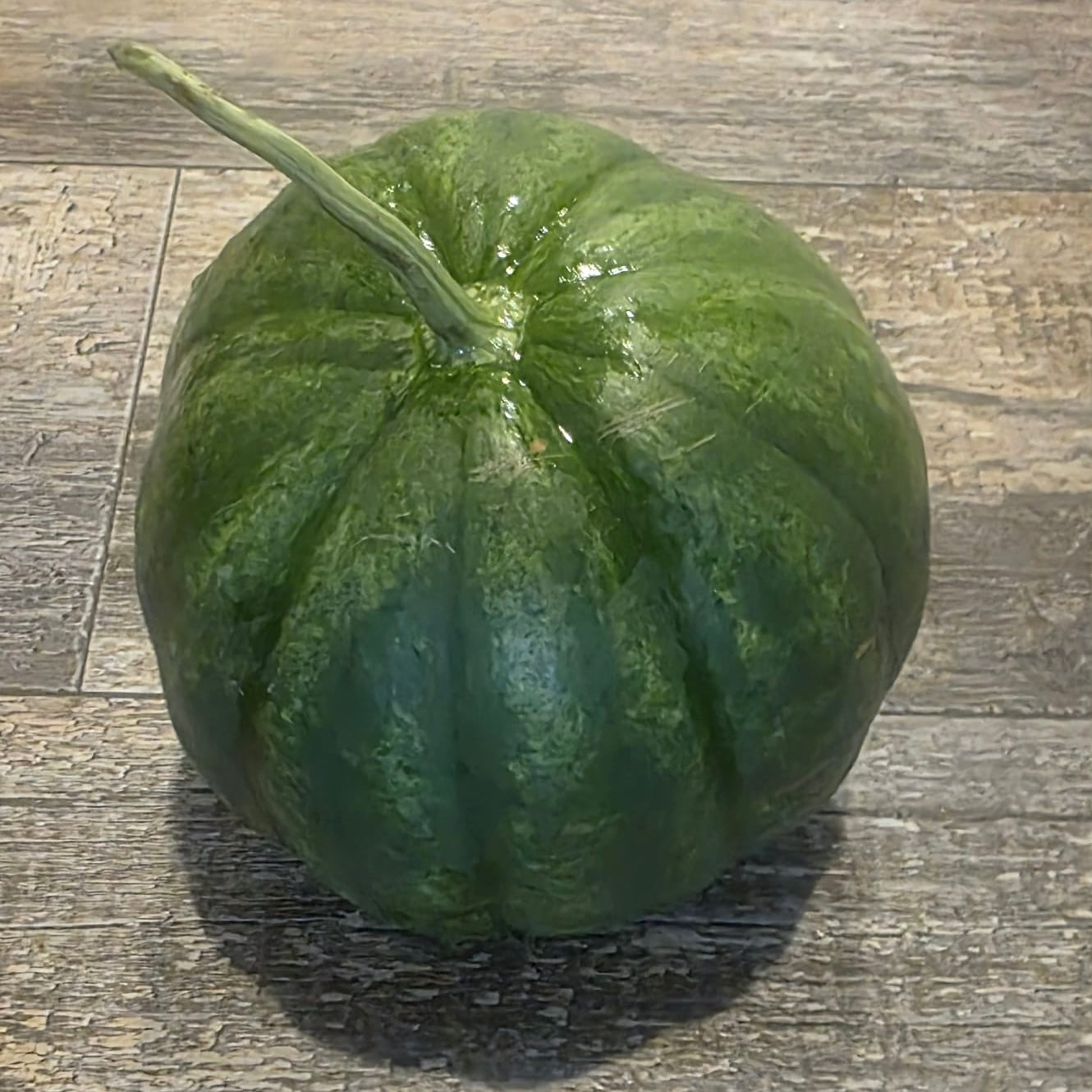 Watermelon - Cekirdegi Oyali