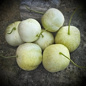 Cucumber - Crystal Apple