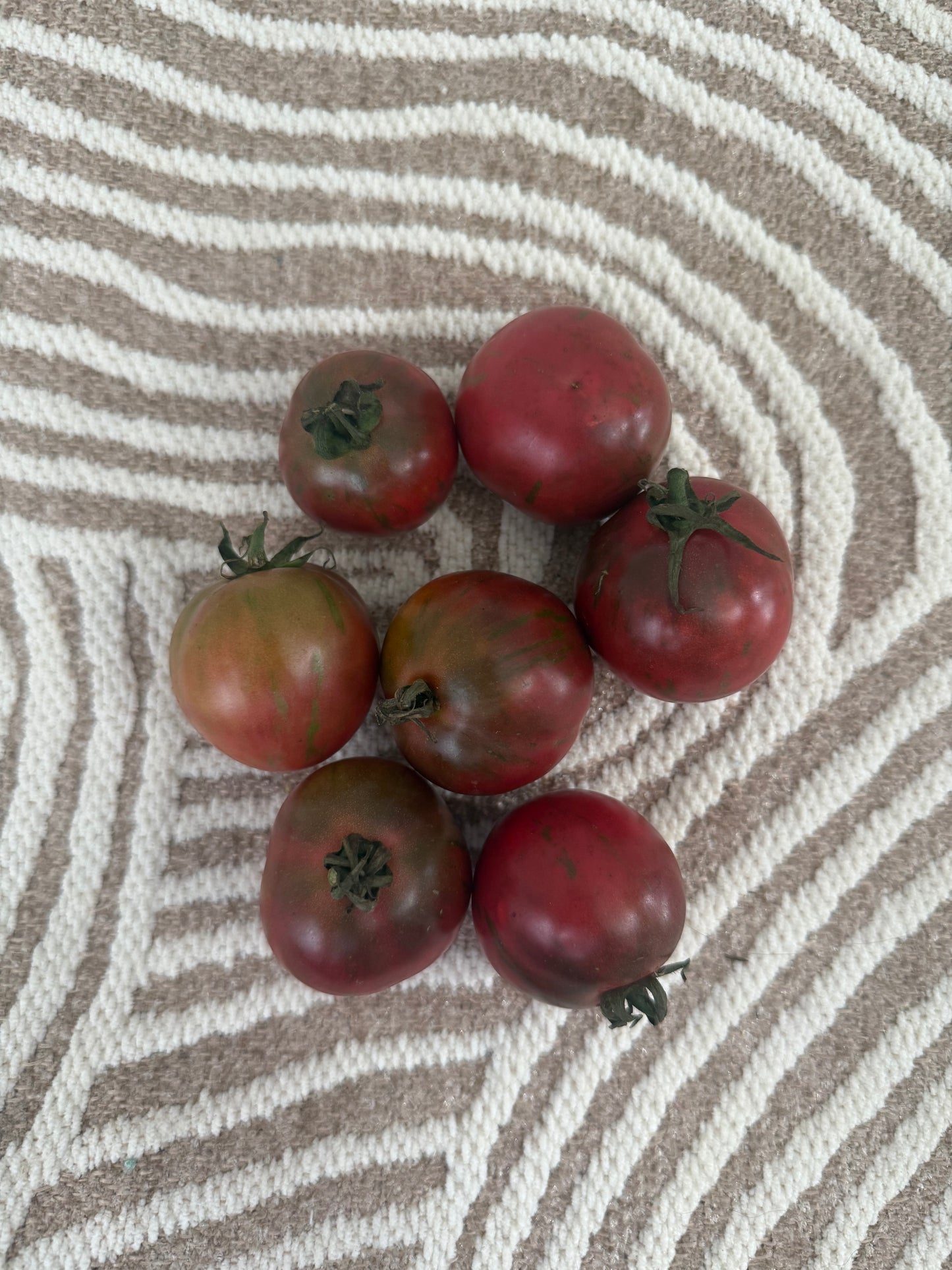 Violet Jasper -Non GMO- Heirloom Tomato Seeds (10+ Seeds)