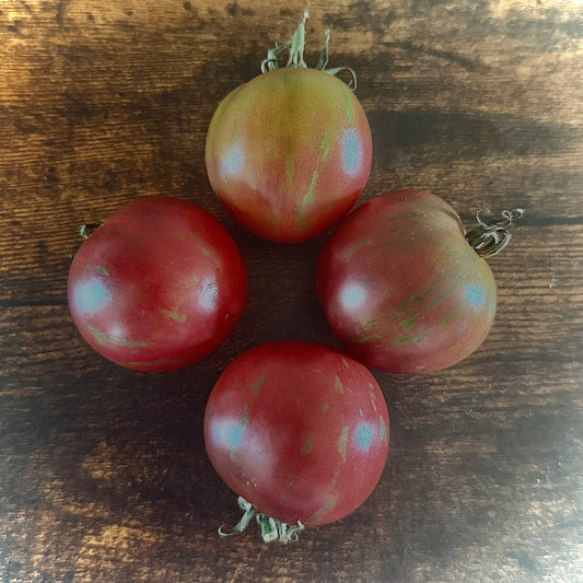 Violet Jasper -Non GMO- Heirloom Tomato Seeds (10+ Seeds)