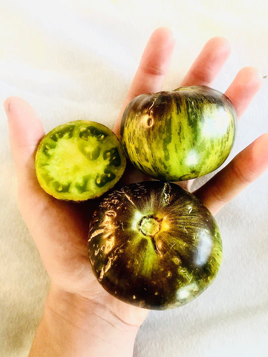 Tomato - Xanuda Green Goddess