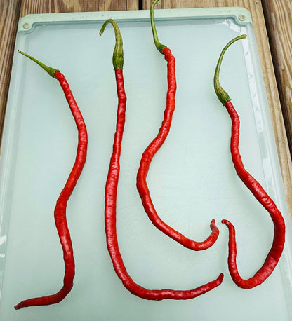 Thunder Mountain Longhorn - Pepper Seeds