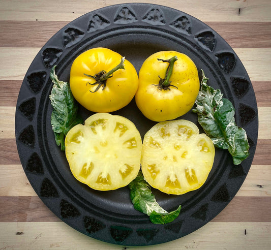 Tomato - Dwarf Elsie’s Fancy