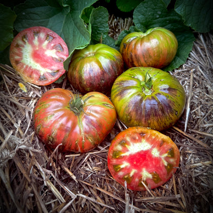Tomato - Leprechaun Gosha