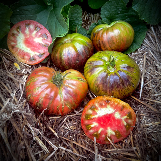 Tomato - Leprechaun Gosha