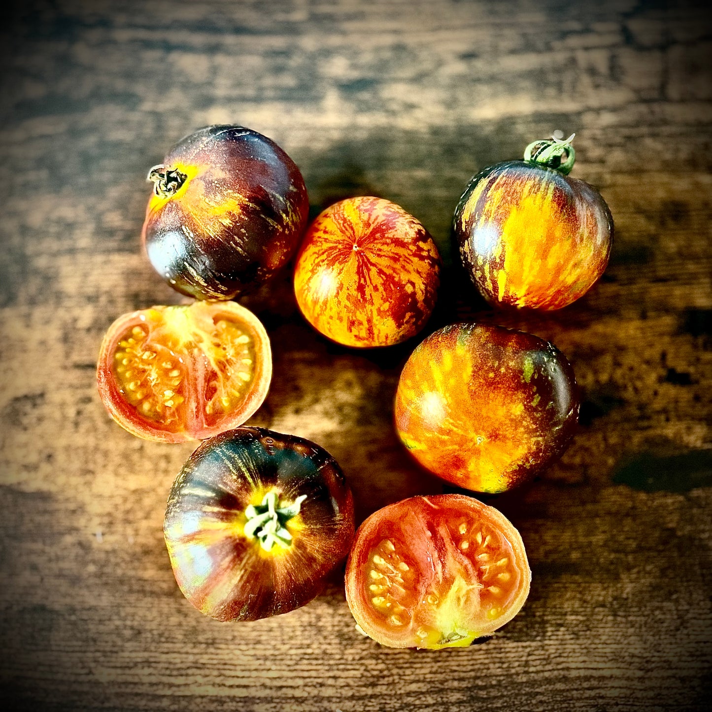 Tomato - Queen Of The Night