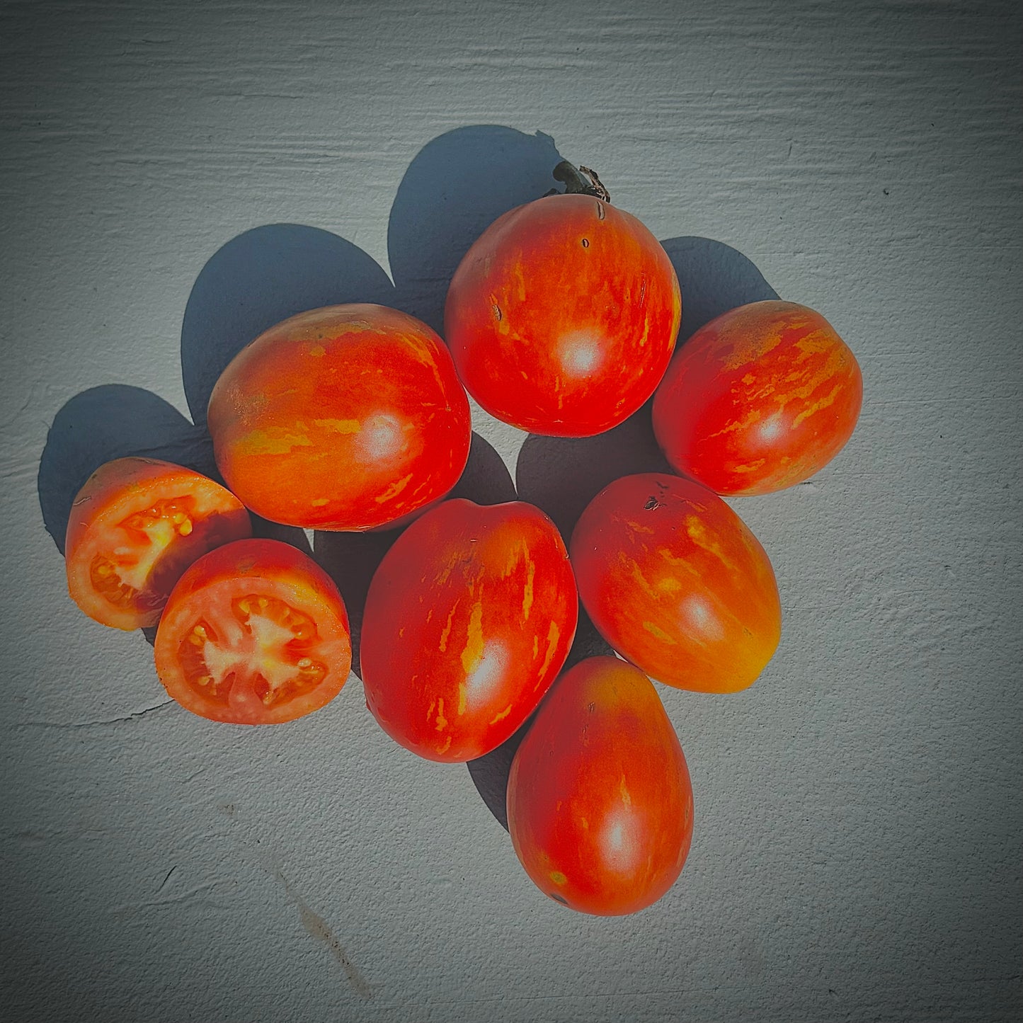 Tomato - Russian Queen