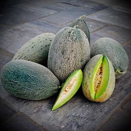Melon - Bateekh Samara