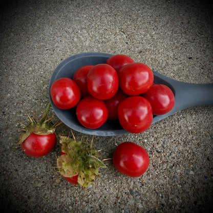 Tomato - Litchi