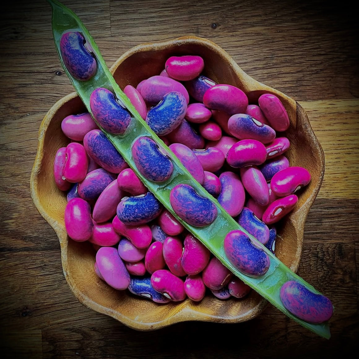 Bean - Sunset Runner