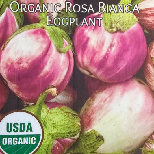 Eggplant - Rosa Bianca