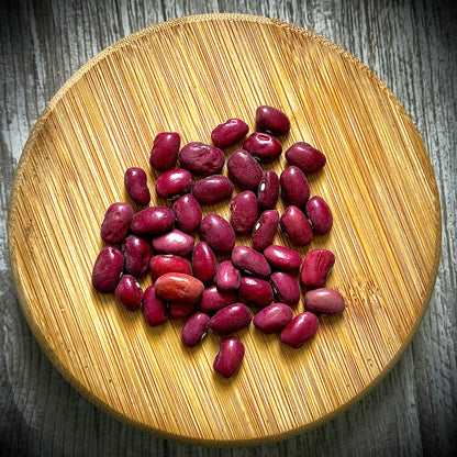Bean - Hidatsa Red