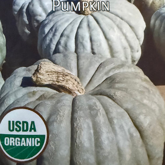 Pumpkin - Jarrahdhale