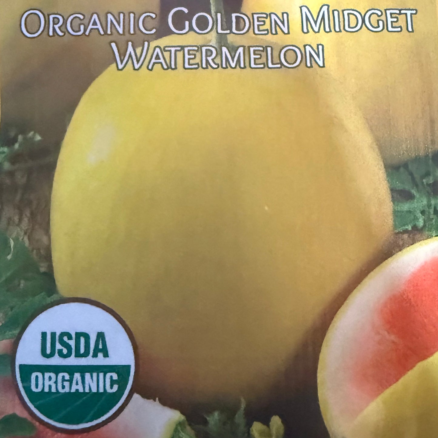 Watermelon - Golden Midget