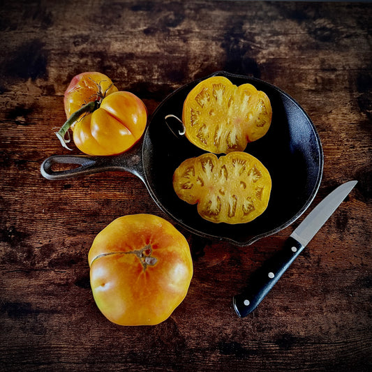 Tomato - Northern Lights
