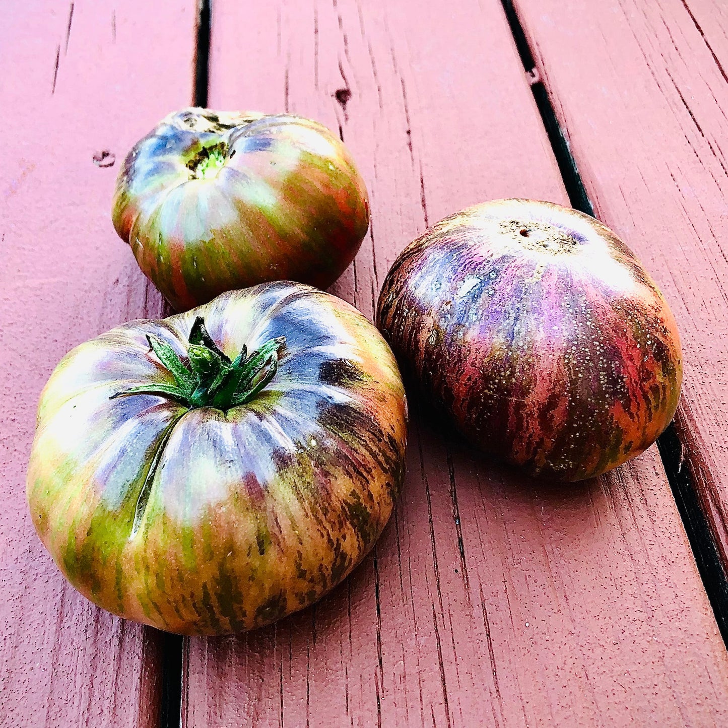 Tomato - Leprechaun Gosha