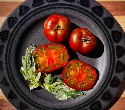 Tomato - Sandy Stripes