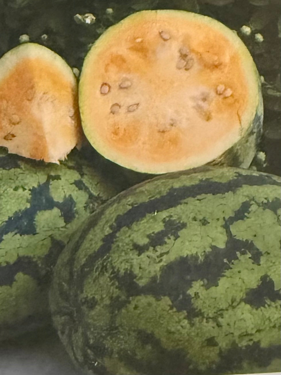 Watermelon - Orangeglo