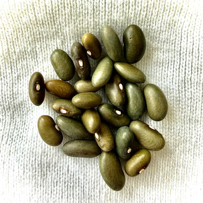 Bean - Mbombo