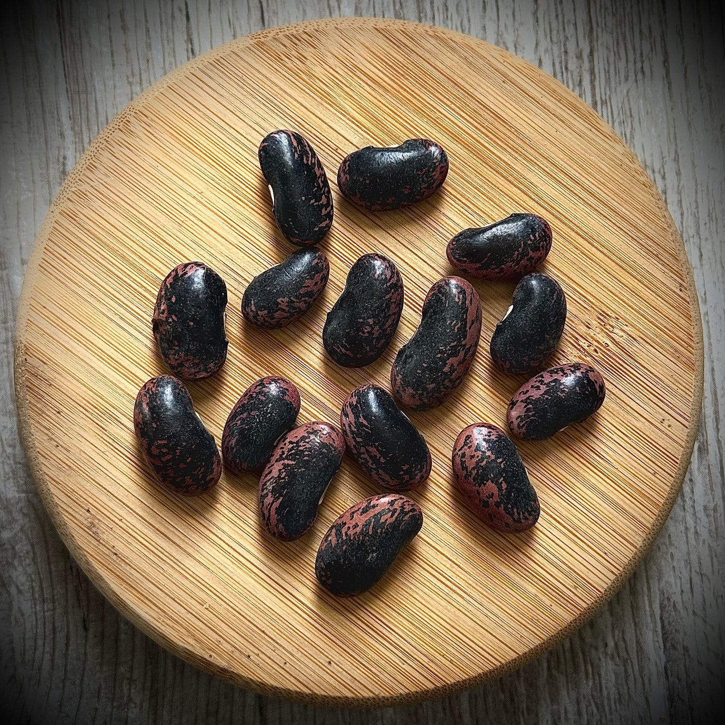 Runner Bean - Scarlet Runner