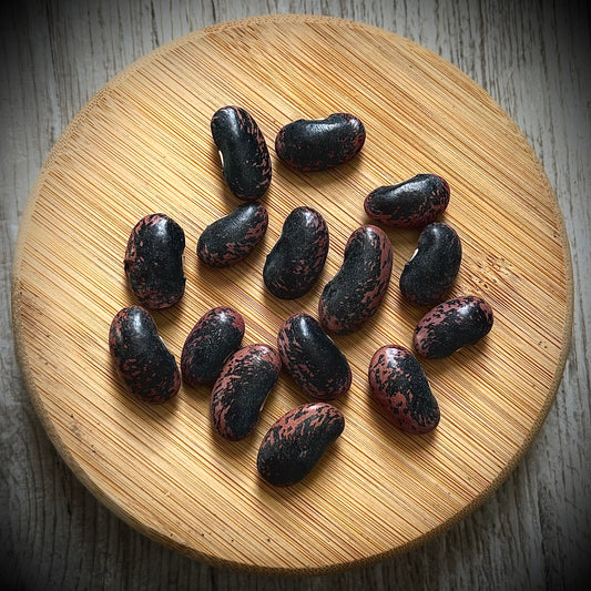 Runner Bean - Scarlet Runner