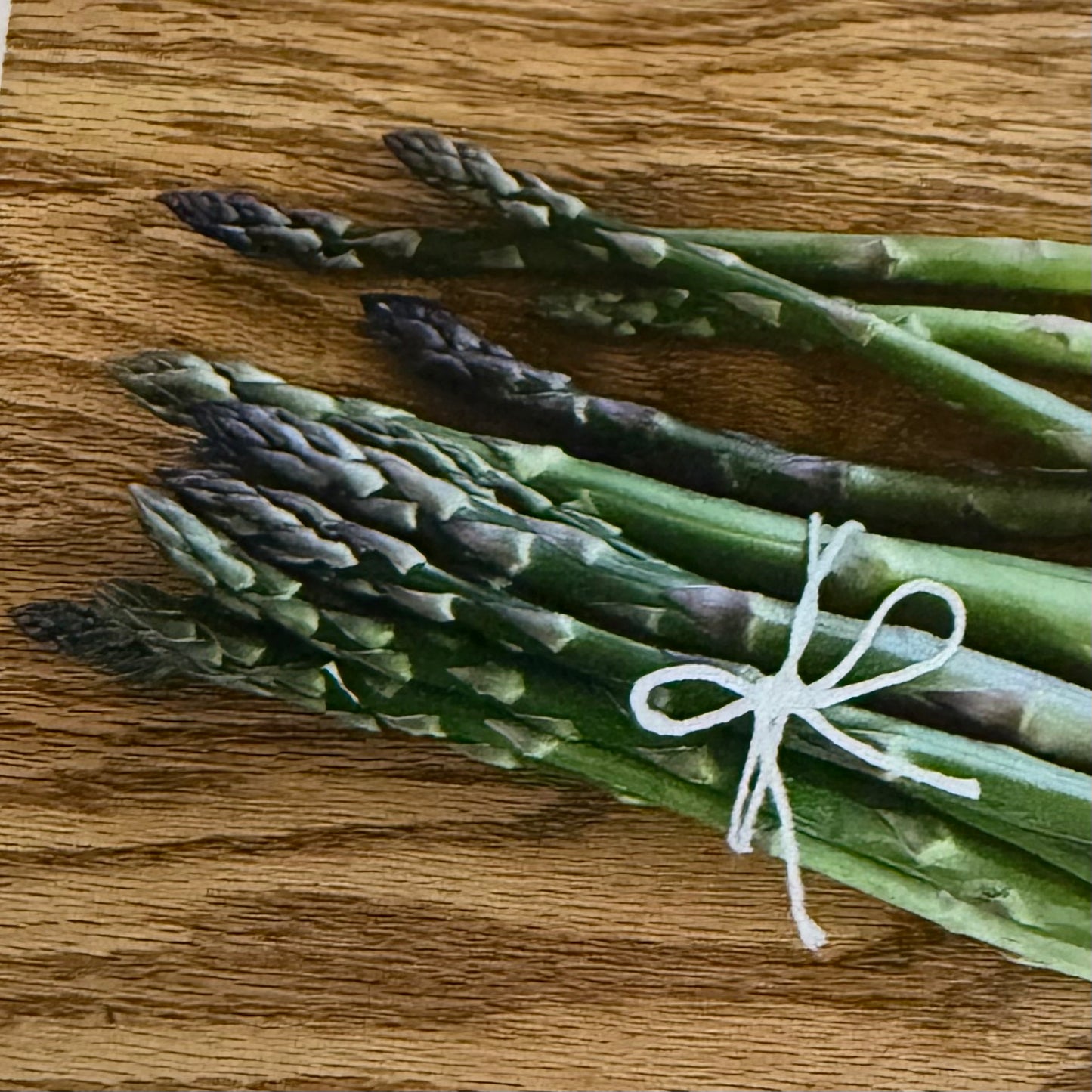 Asparagus- UC-157